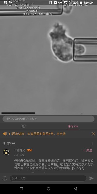 今日最佳出书评论🤣