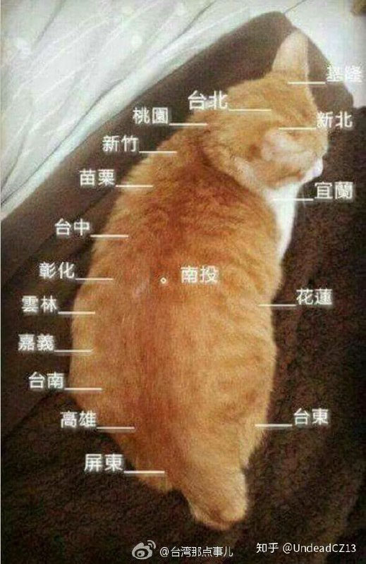 QQ群看到的 笑死我了