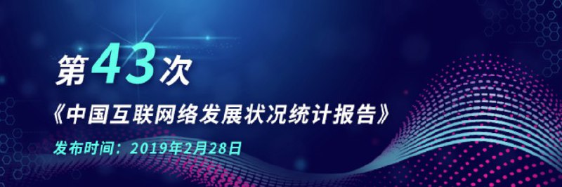 中国互联网络信息中心（CNNIC）发布了 《第 43 次 中国互联网络发展状况统计报告》