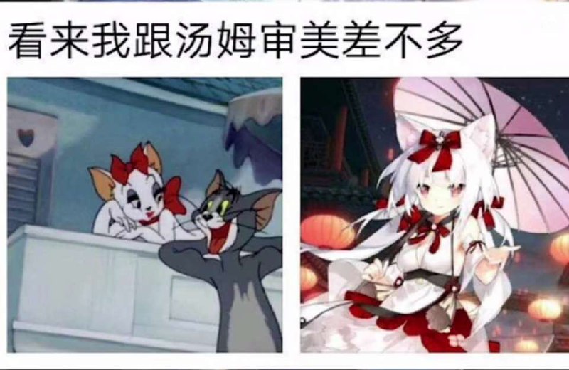 時雨(=ﾟωﾟ)ﾉ