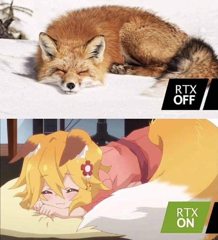 消息来源: @niweishenmebufuta