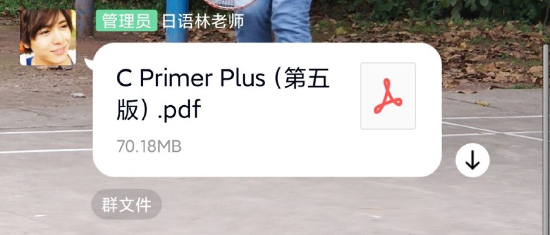 《我的C语言是日语老师教的》