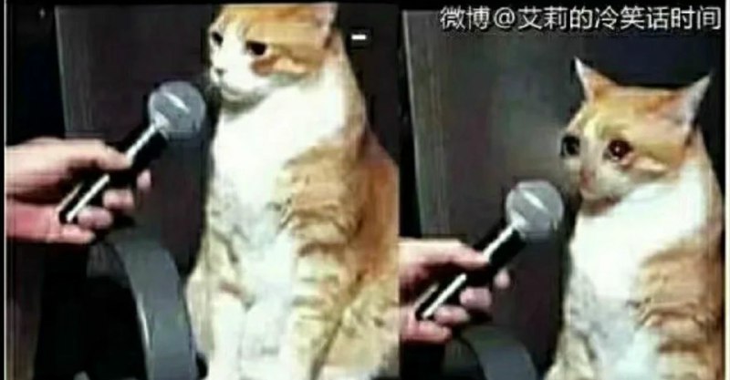 你玩ingress几年了？七年了那你在这个游戏里一定很厉害