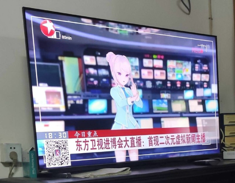 “东方Project卫视（不是）”“东方Project卫视（不是）”