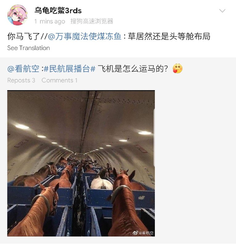 #碎碎念 真•飞你🐴 🤣🤣🤣🤣