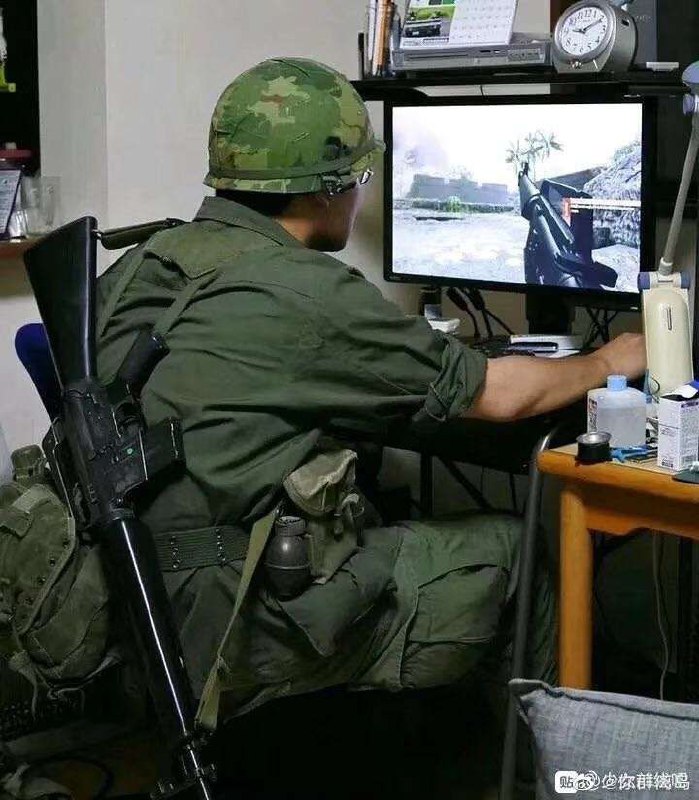 实 景 演 练实 景 演 练