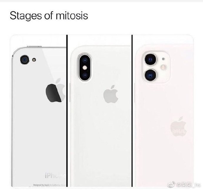 Cell Phone（生物意义