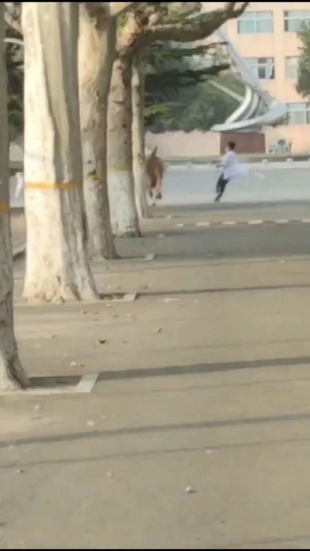 #投稿 多图#投稿 多图