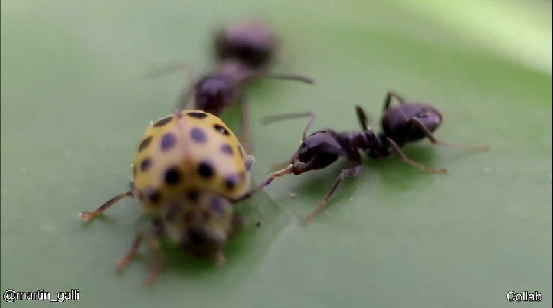 两个码农发现bug