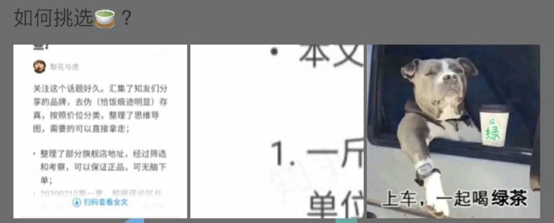 就要毕业了 请你们继续“贼喊捉贼” 大脑升级