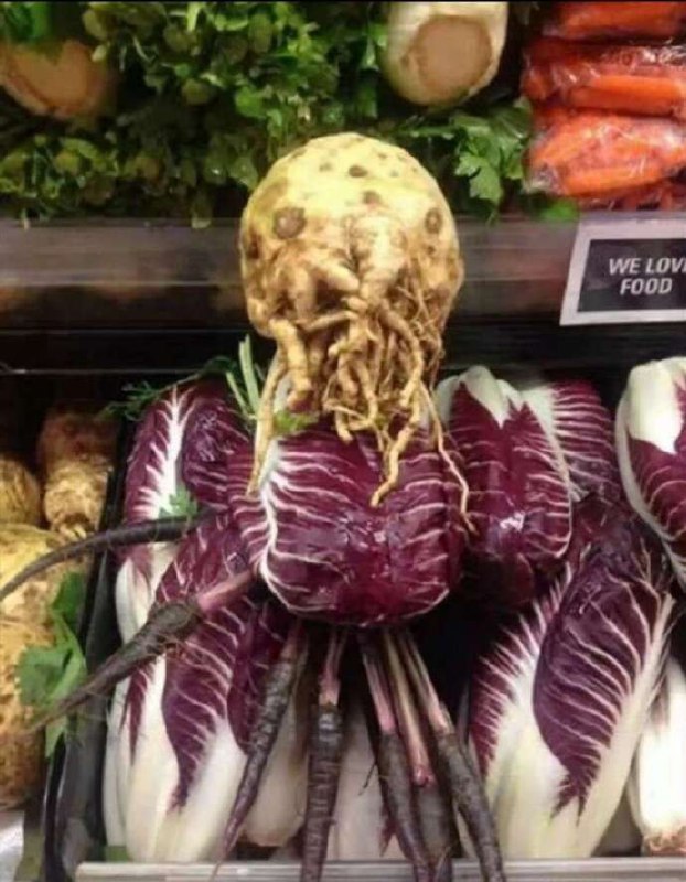 这位大婶，我给你介绍一下我们的天父和旧主，克苏鲁