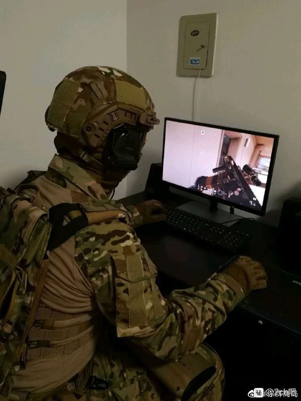 实 景 演 练实 景 演 练