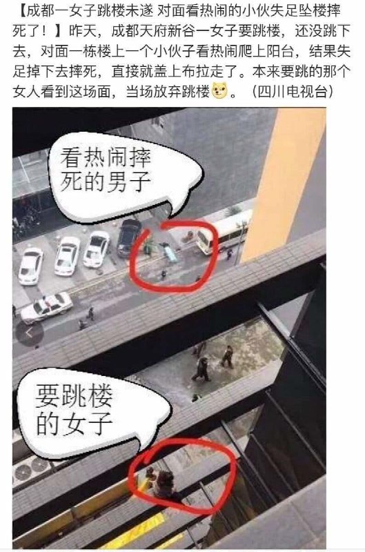 珍惜生命 不要凑热闹