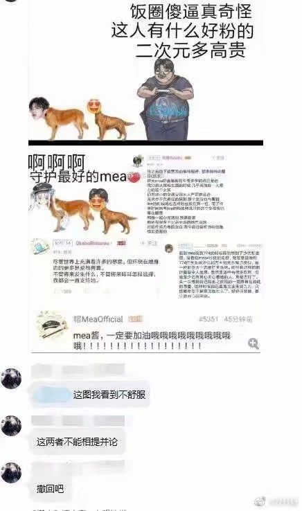 vtb跟流量明星没有任何区别，只是披了个纸片人的皮，还五十步笑百步