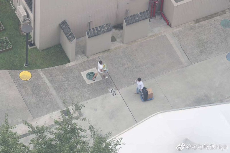 震惊！美国领事馆绝密密码本曝光🐶震惊！美国领事馆绝密密码本曝光🐶