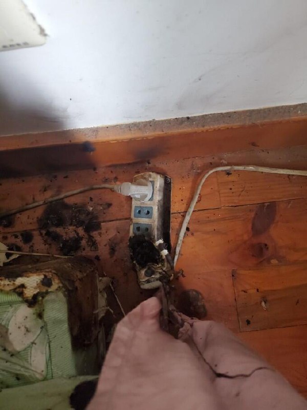 还有NSFW的图片不放了