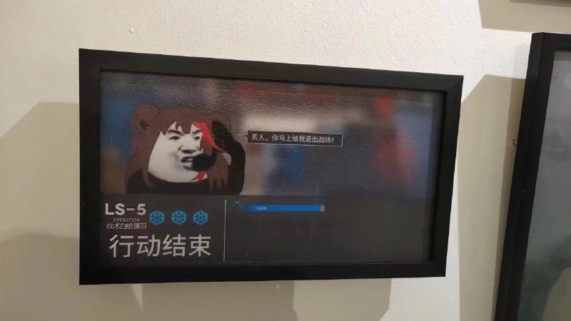 川美毕业展现场 侵删川美毕业展现场 侵删