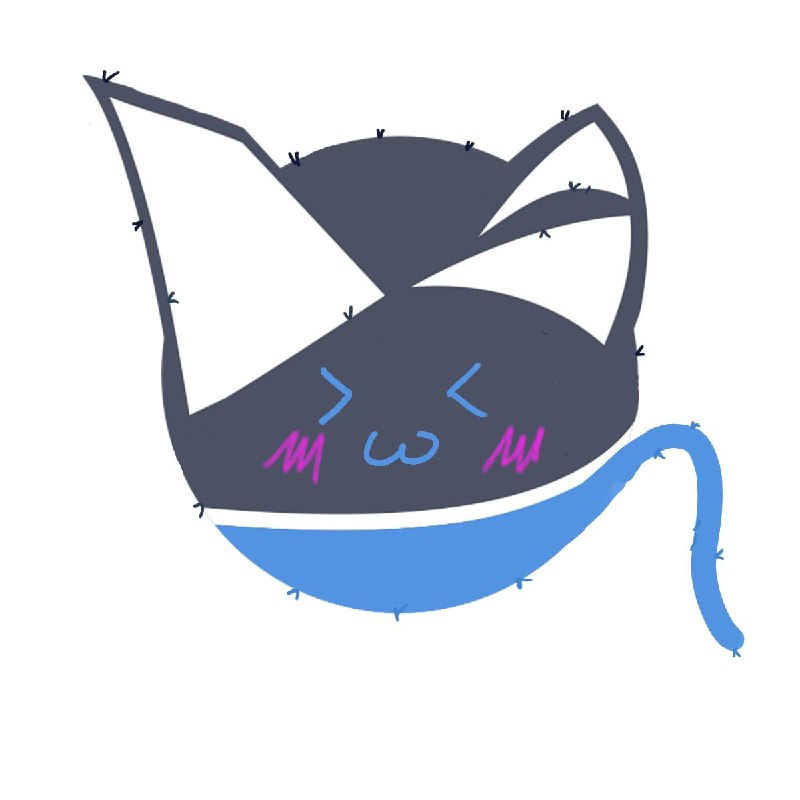 put on those socksput on those socks