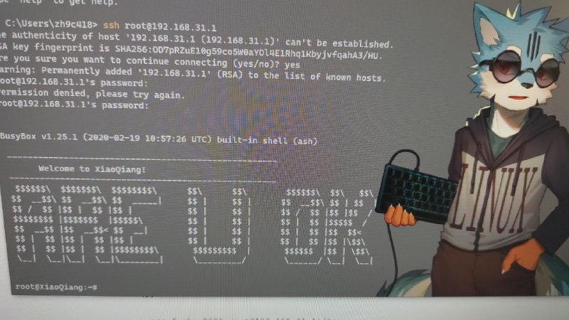 一只狼笑出猪叫.ogg