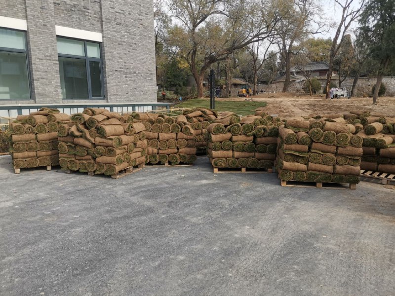 北大：草，卷起来了