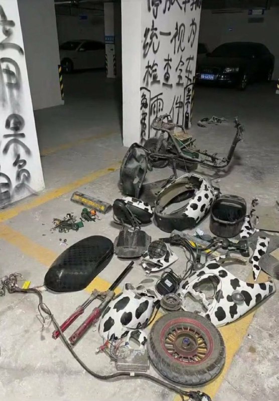 “助人为乐”“助人为乐”