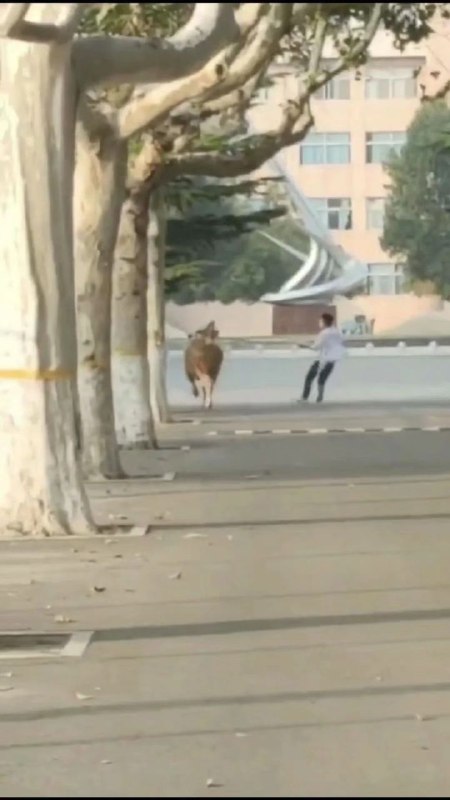 #投稿 多图#投稿 多图