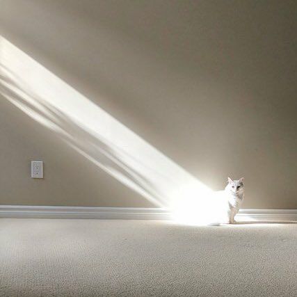 光猫是这个东西吗？