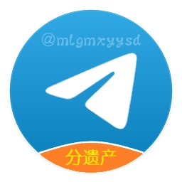 Telegram 未来有可能会倒闭，但绝不会变质！一起来了解 Durov 的遗产吧！