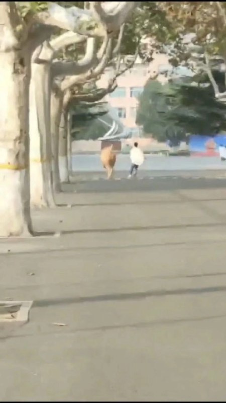 #投稿 多图#投稿 多图