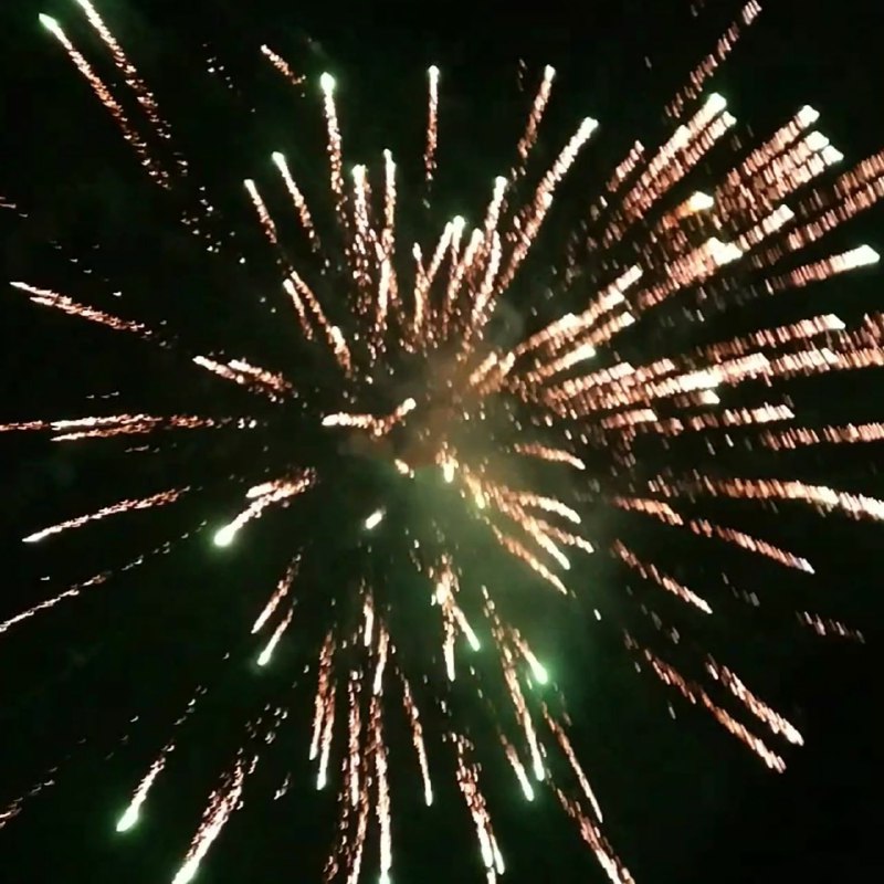 喜气洋洋红红火火!