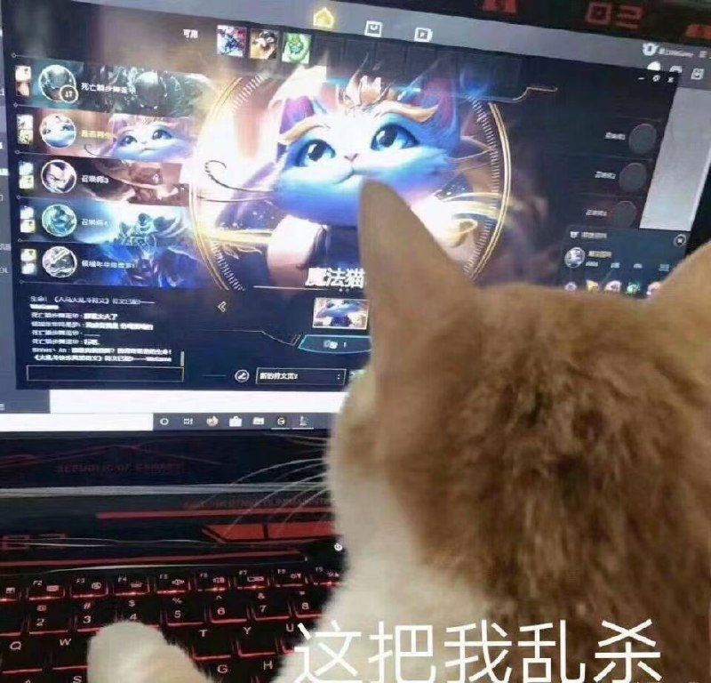 出6个帽子的猫咪