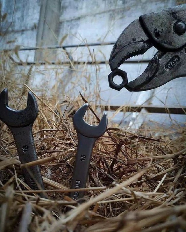 “幼鸟的颌关节还不发达，还不能自由的活动，必须由亲鸟准确地将食物喂到幼鸟的口中”